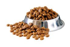 Dry food