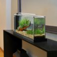 10516_image3