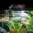 14001_fl_c2_filter_anwendung2_rgb