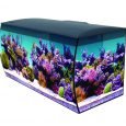 14994_fl_sea_flex123_rgb