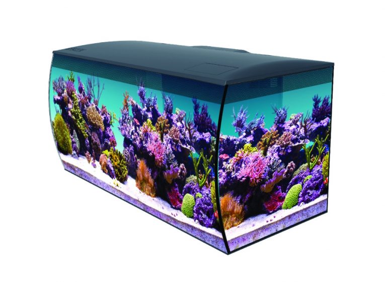 14994_fl_sea_flex123_rgb