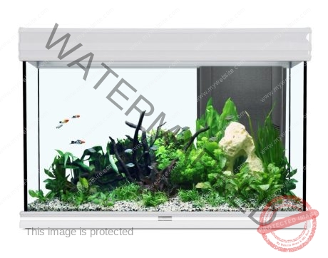 Aquatlantis Fusion 80 Aquarium 80x40x55cm White (Without Filtration)