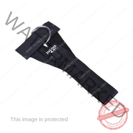 Julius-K9 IDC Front Control Y-belt Belt with Ring