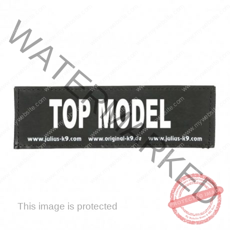 Julius-K9 TOP MODEL PATCH - SMALL