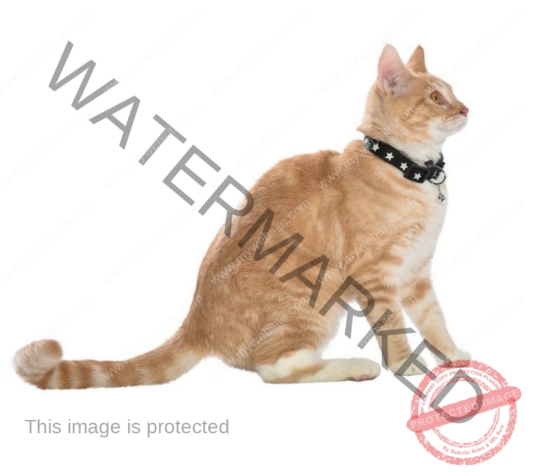 169137
