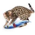 2029_with_cat