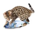 2030_with_cat