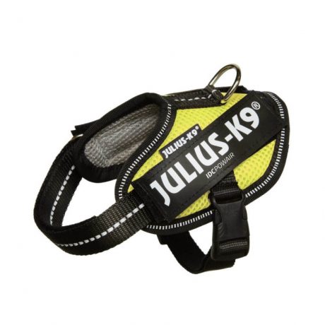 Julius-K9 IIDC POWAIR harness - Neon