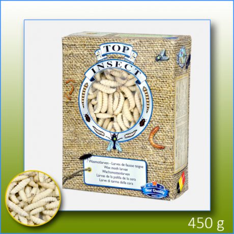 kiezebrink Frozen Wax Moth Larvae 1 L