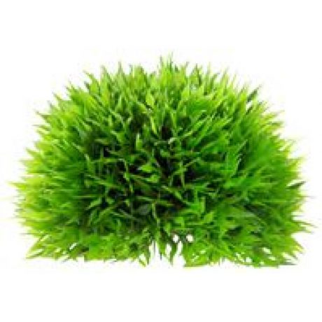 Hobby Artificial plant - Plant Ball