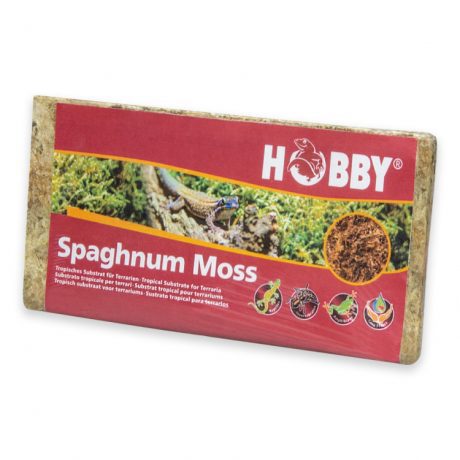 Hobby Spaghnum Moss 100g