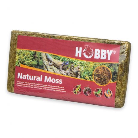 Hobby Natural Moss 100g
