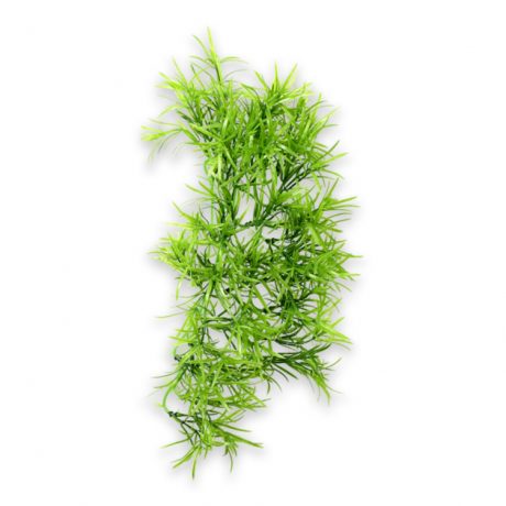 Hobby Climber Tropica