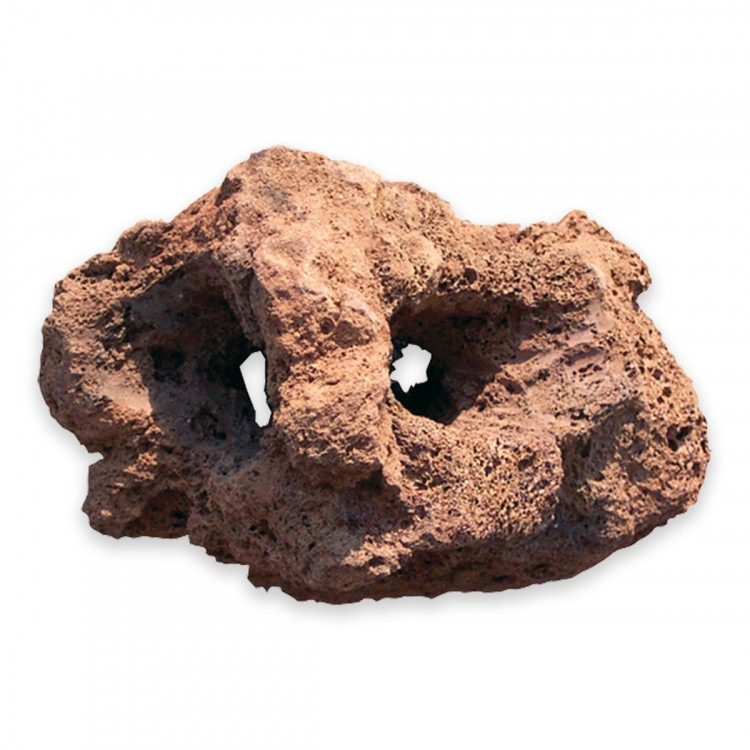 Large