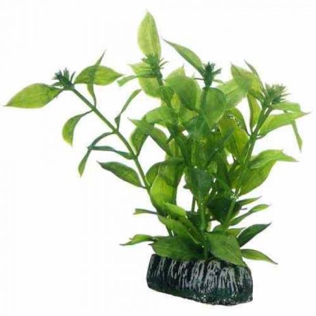 Hobby Artificial plant - Hygrophila