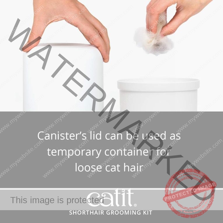 51lytd7YywL._AC_SL1140_