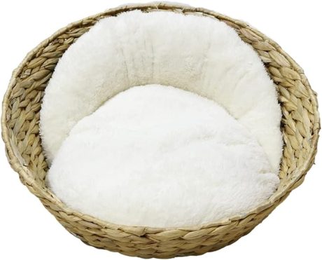 Bobby Green Basket - Beige