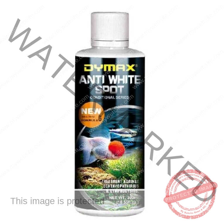 61VG2ABpyfL