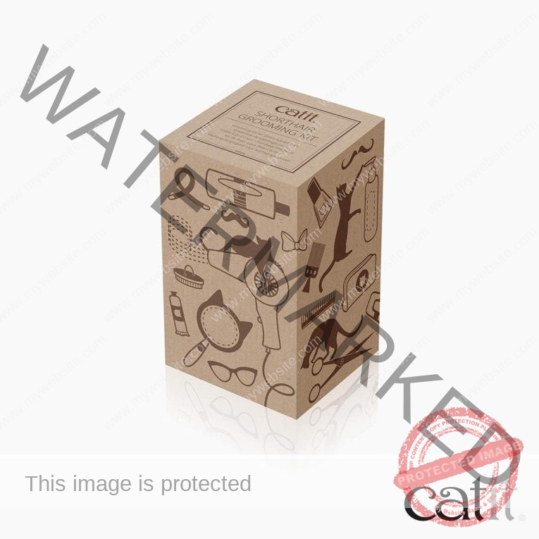 61zXmIWW5KL._AC_SL1140_