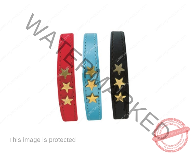 65315-Etoile-Collar-Blue (1)