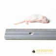 71204-fuzzy