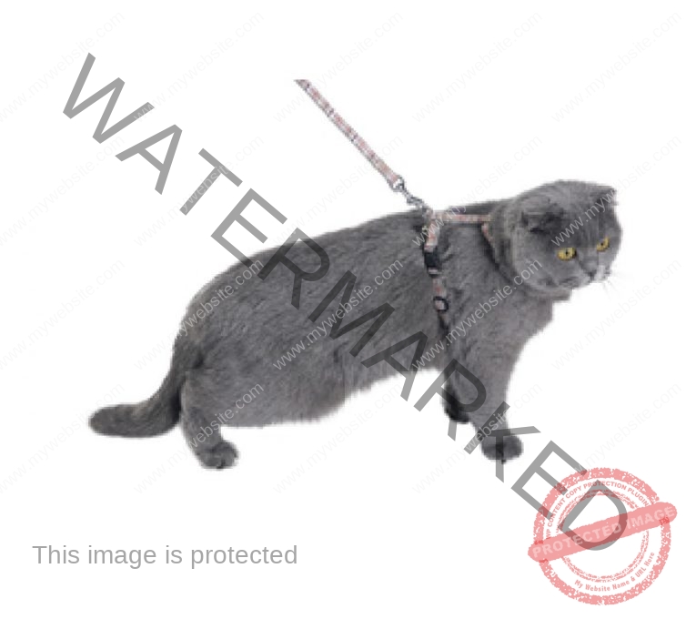 79020