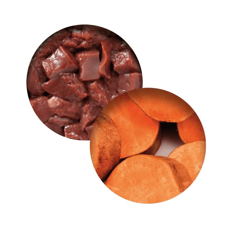 80ad200cc71e3449acfa54d787a1cb4d