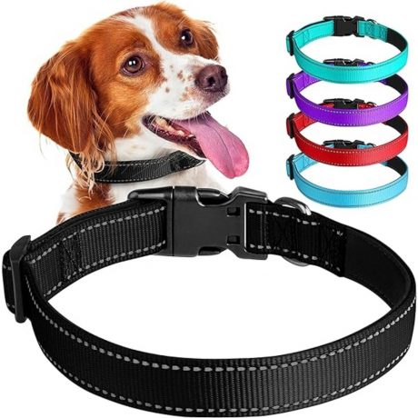 Adventure Collar - Large