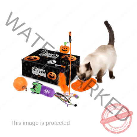 ALL FOR PAWS Halloween Cat Gift Set