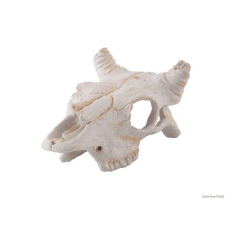 Hagen Exo Terra Buffalo Skull - Small
