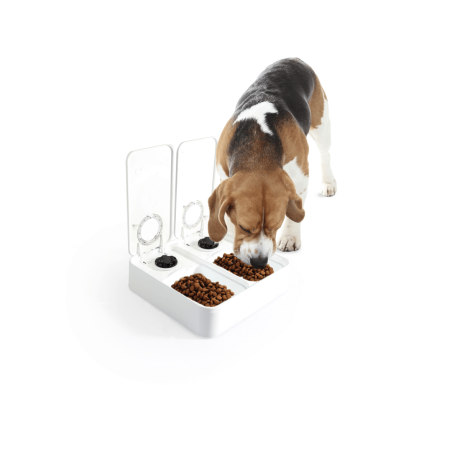 Double Timer Feeder-Dog