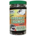 CricketCrunchNew_1_d64ddf33-210d-4092-83ef-1863802da27b