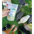 CustomerPhoto-GreenPeaFlakes_1