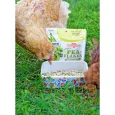 CustomerPhoto-HeatherWolf-PeaFlakesinYardwithChicken_1
