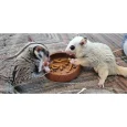 CustomerPhoto-MealwormFeedDish_3_dd75a38c-fd2d-4194-97b9-06ffca008b0a