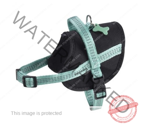 Bobby Easy Safe Harness - Lagon