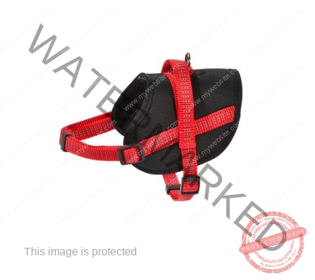Bobby Easy Safe Harness - Red