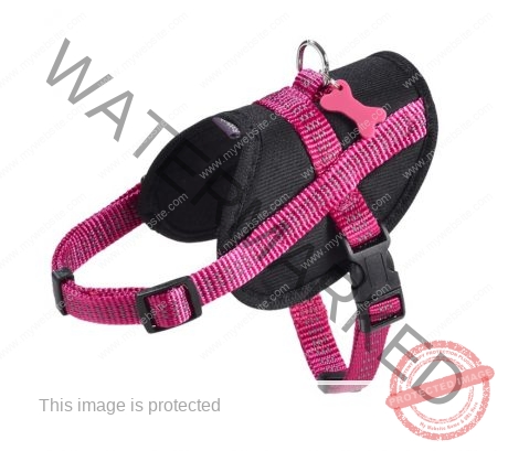 Bobby Easy Safe Harness - Fuschia