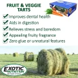 FruitVeggieTartsAdditionalPic4