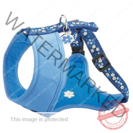 Bobby Flower Harness T-Shirt - Blue