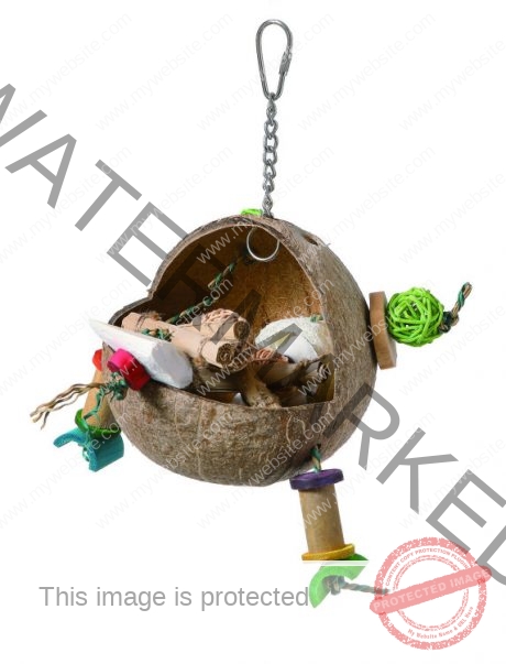 CoollaPet Coco Frog Foraging Toy