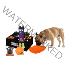 ALL FOR PAWS Halloween Dog Gift Set