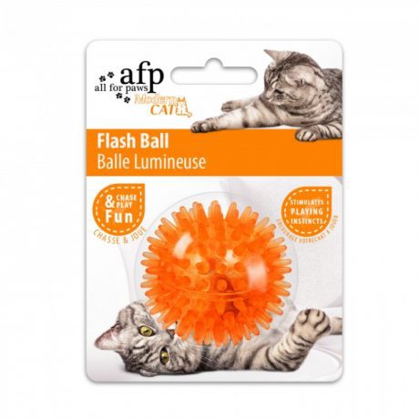 AFP Flash Ball - orange- Dog
