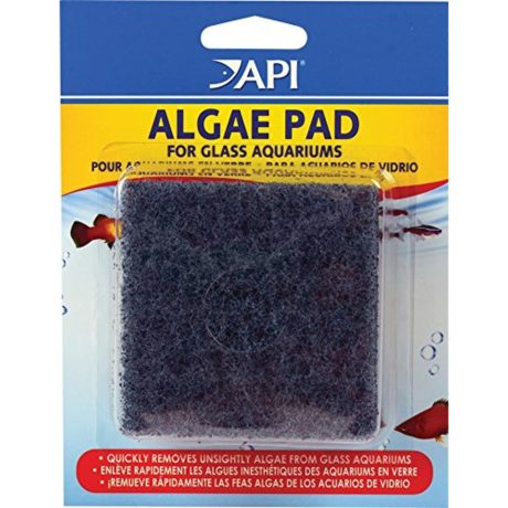 API Algae pad for glass aquariums