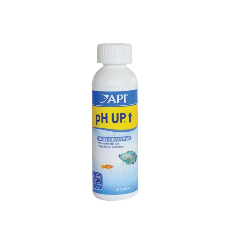 API pH Up 4 OZ.