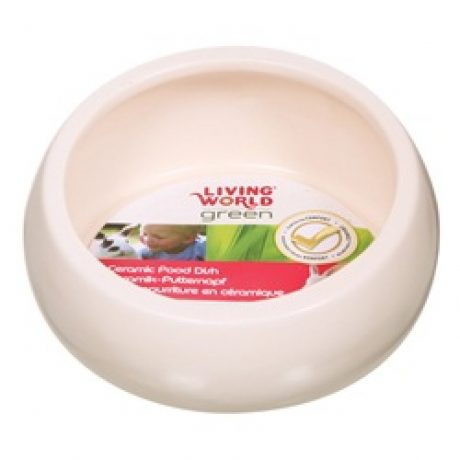 Ergonomic Ceramic Dish