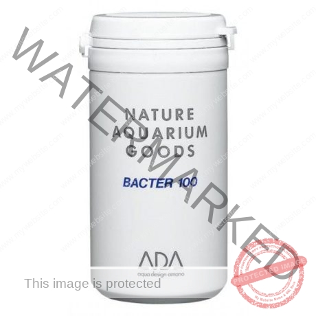 Bacter 100