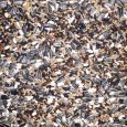 birds_finchmix