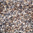 birds_finchmix_1
