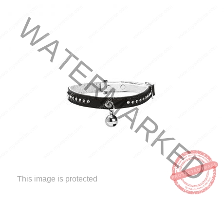 Bobby Eclat Cat Collar